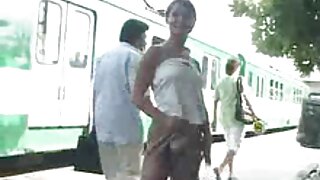 श्याग बिल्ली