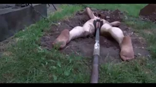गोरा केटी एक मानिसको लिंग मा गधा सवारी