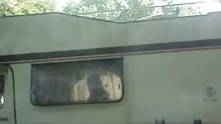 सेक्स खिलौने, मुखमैथुन र गुदा