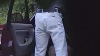 ओक