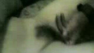 एली निकोल