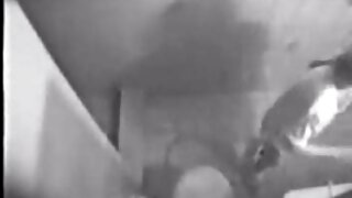 गर्म कुतिया