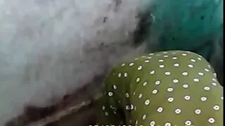 टेबल मा एक सुन्दर केटी को खोक्रो मा चढ्यो