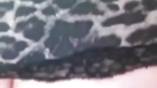 एक गोरा को पातलो गधा मा गहिरो आबनूस बिरूवा