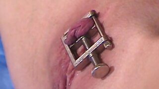 जेसा रोड्स