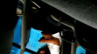 केटी जिब्रो संग मिल्फ गरेको बिल्ली खुसी